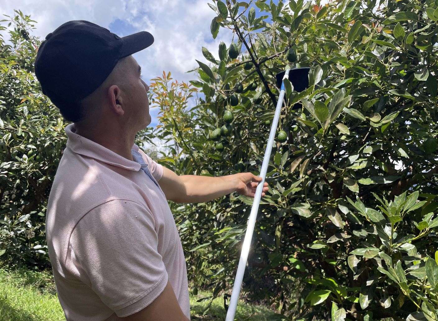 ¿Qué es la Tecnificación Progresiva del Agro?