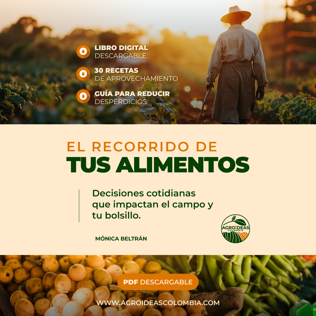 El Recorrido de Tus Alimentos (Libro Digital PDF)