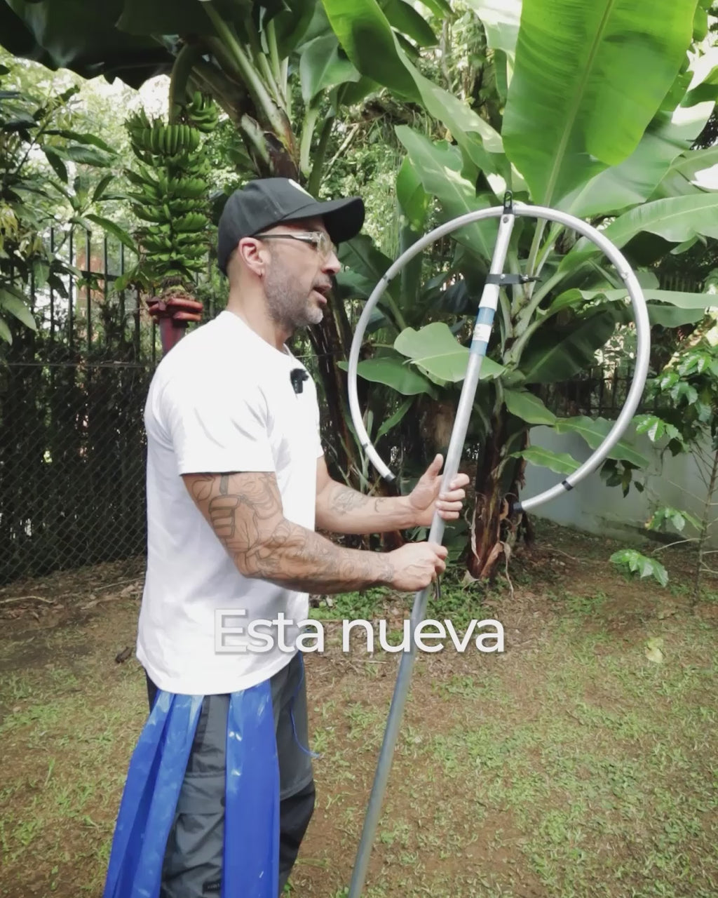 Embolsadora de Plátano